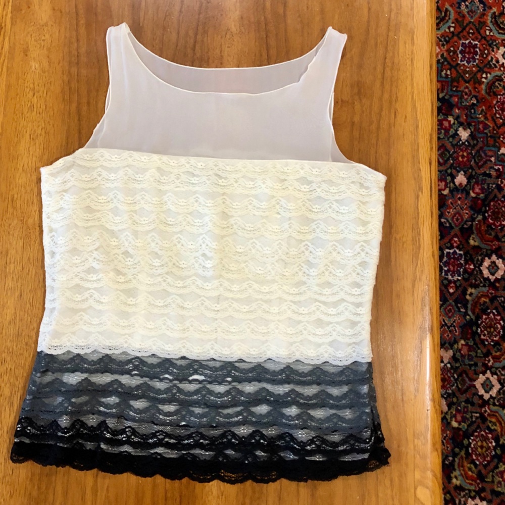 Behnaz Sarafpour Target Silk Georgette Lace Top